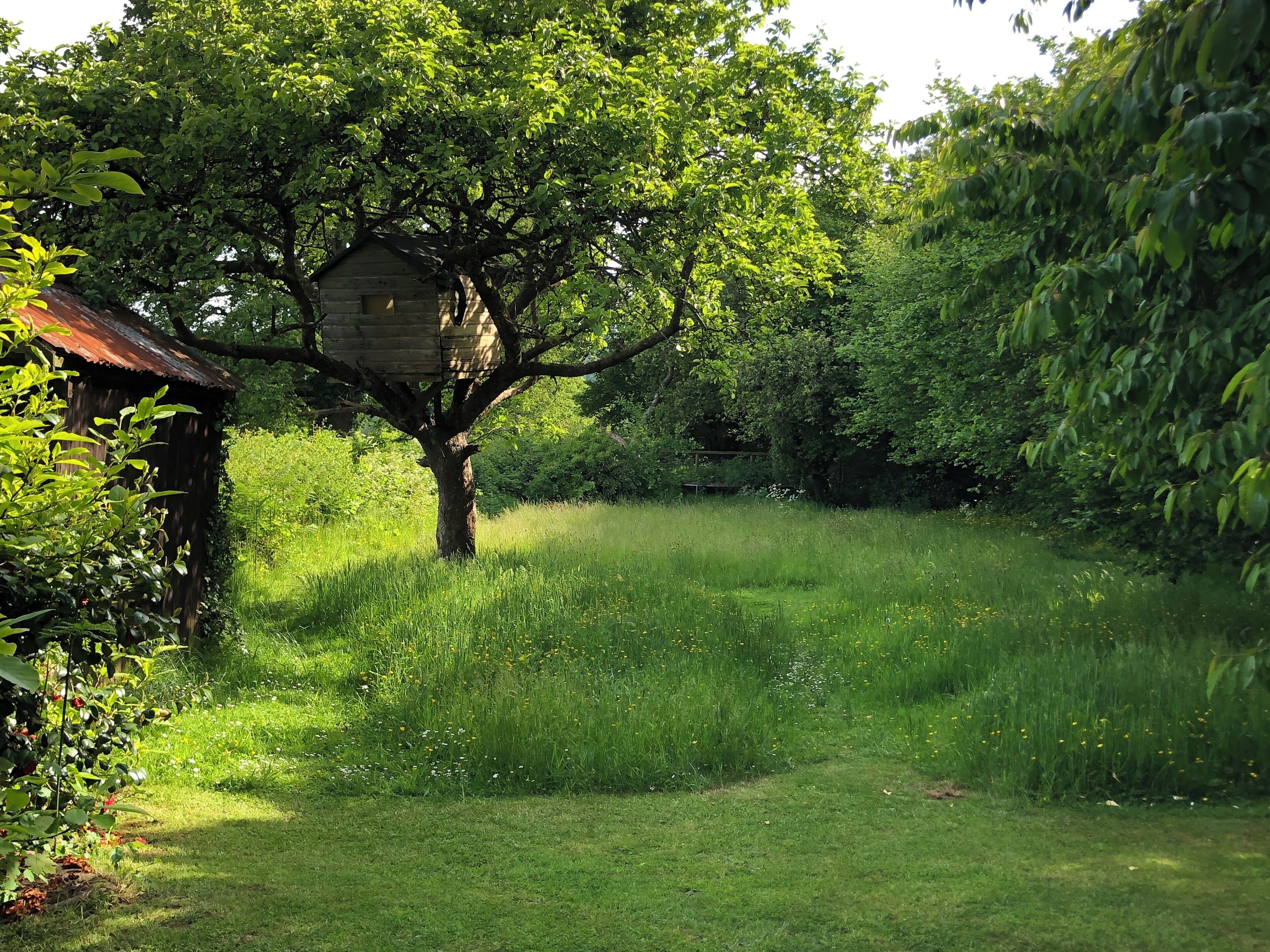 Une cabane en bois rustique, dotée d’un toit de chaume, entourée d’une végétation luxuriante et d’un champ verdoyant.