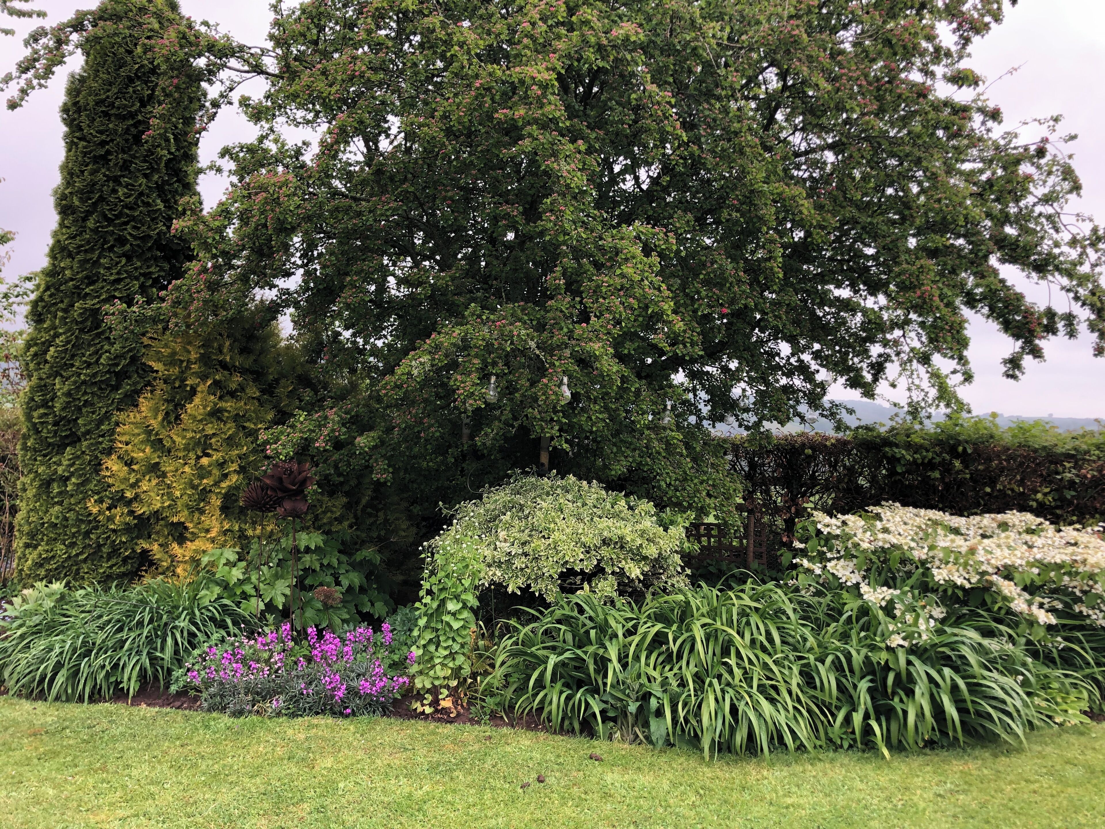 Ein Garten mit verschiedenen Pflanzen, einem hohen Baum und einer Bank.