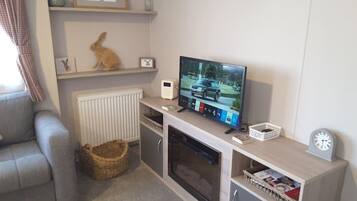 TV connectée, cheminée, livres