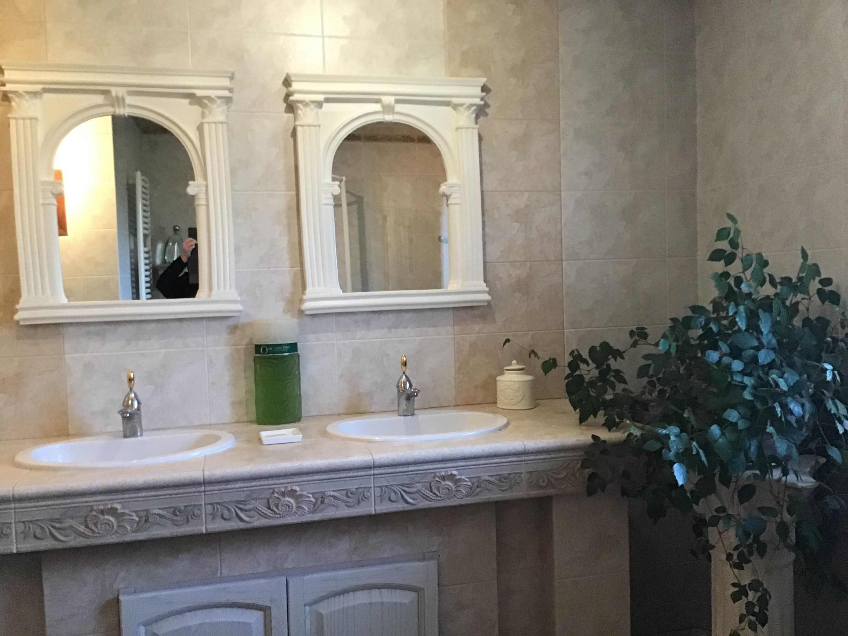Un baño con dos lavamanos, un espejo y una planta en maceta.