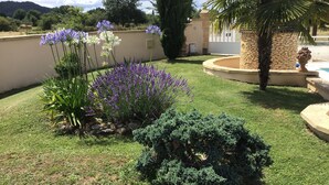 A well-maintained garden with various plants and a stone wall. - Pretty house with swimming pool in Périgord (Pazayac)
