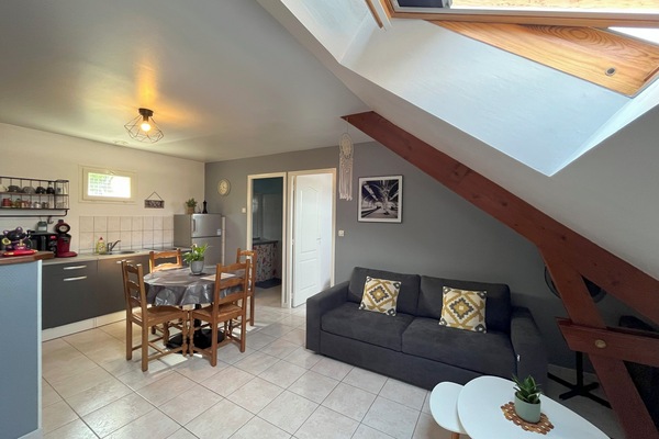 Fernseher, DVD-Player