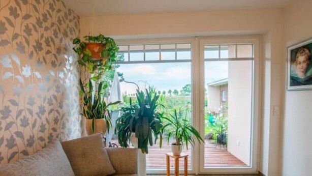 Sala de estar com sofá, duas mesas laterais e várias plantas em vasos.