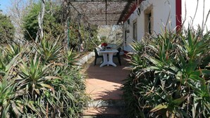 Uma área de pátio com mesa e cadeiras, cercada por diversas plantas e uma estrutura de pérgola.