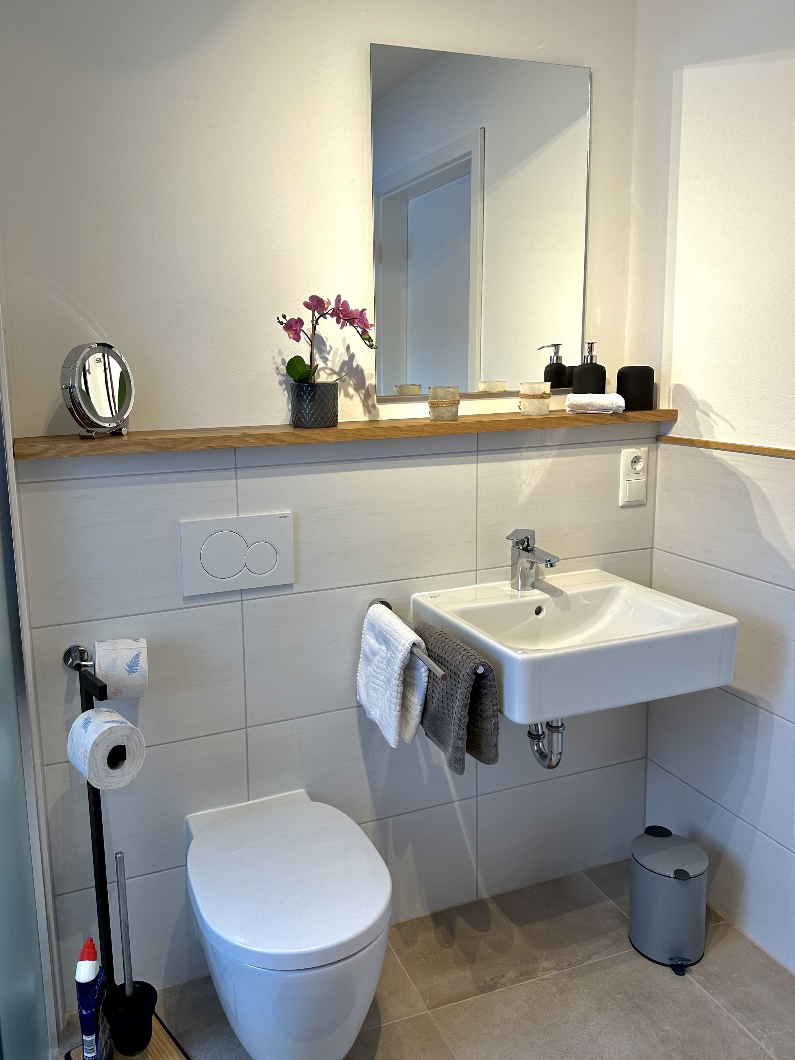 A bathroom with a toilet, sink, mirror, and a small shelf with a plant.