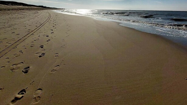 Een strand met voetafdrukken die naar het water leiden, een heldere lucht en een verre horizon.