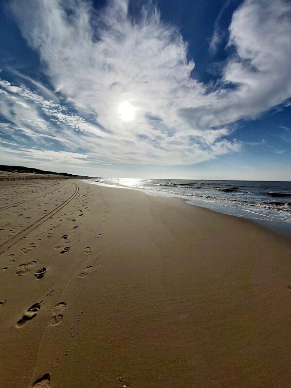 Playa en los alrededores y camastros