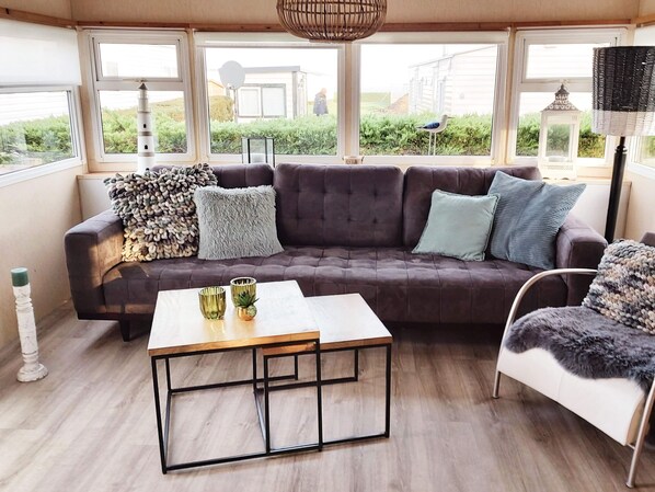 TV, fireplace, books