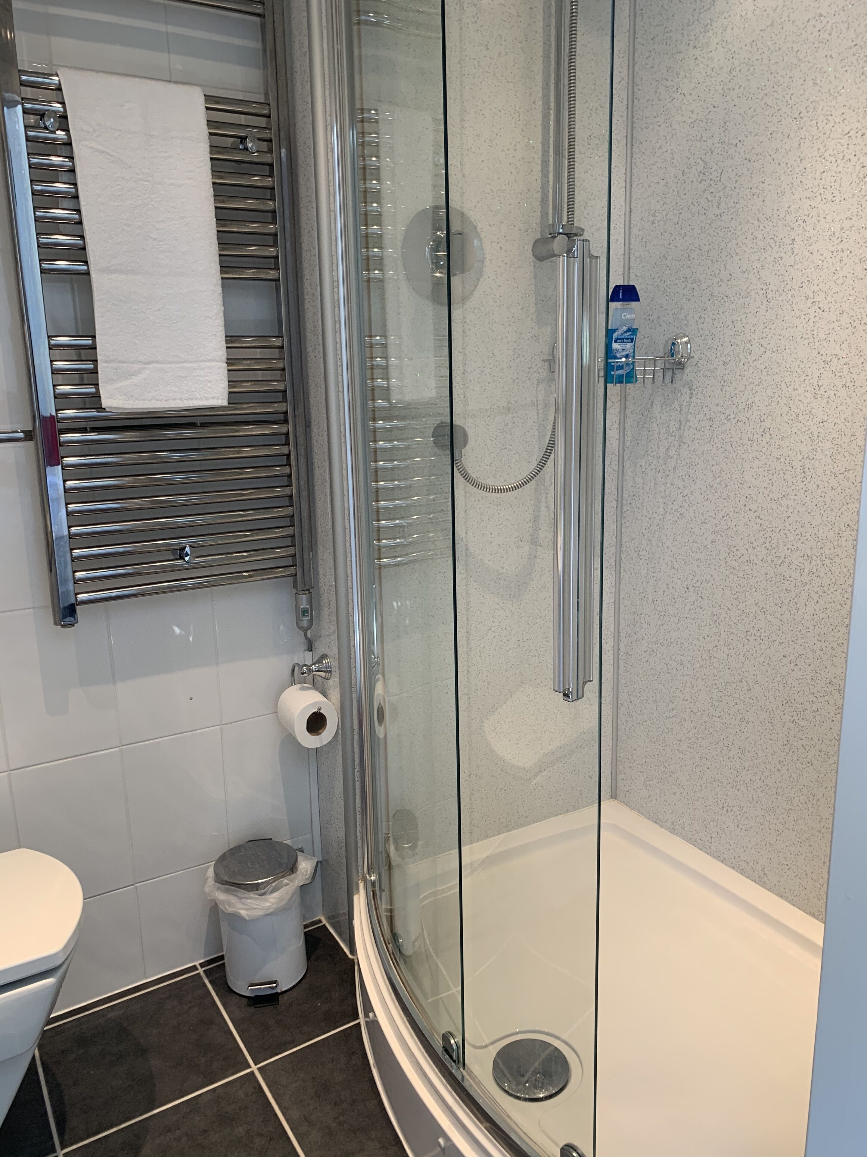 Une douche fermée par des parois en verre, dotée d’un pommeau de douche amovible, ainsi que des toilettes et une poubelle.