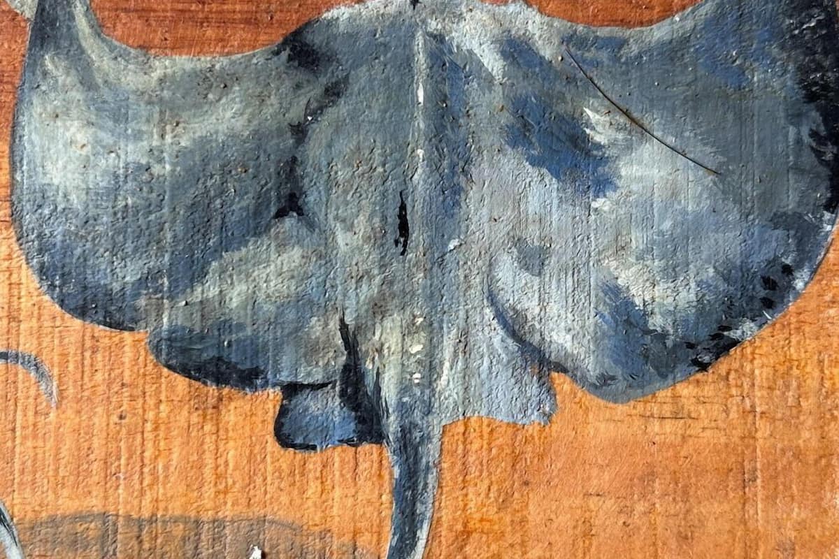 MANTA
