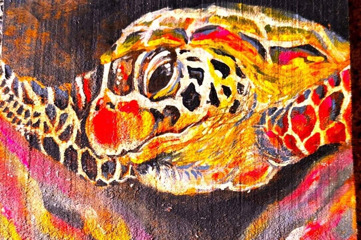 TORTUGA