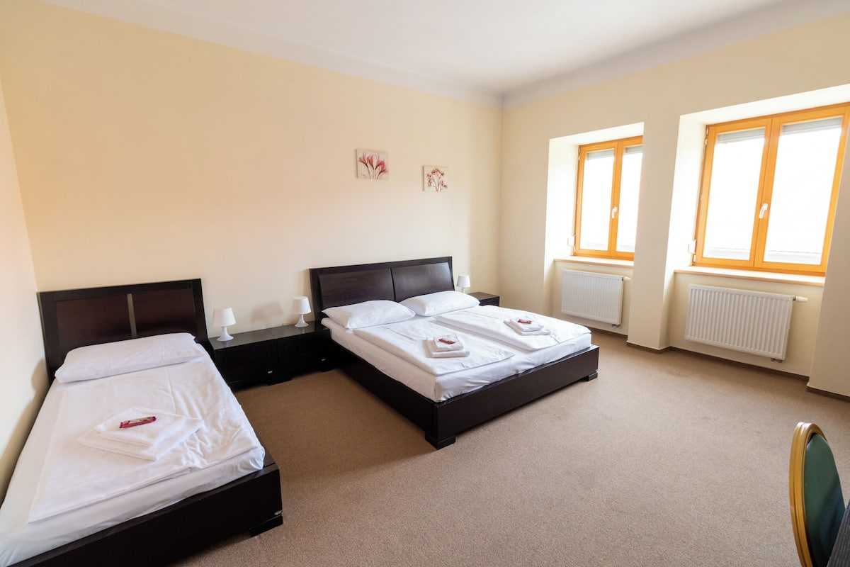 Economy Triple Room