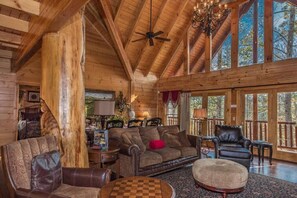 TV, caminetto, videogiochi, lettore DVD