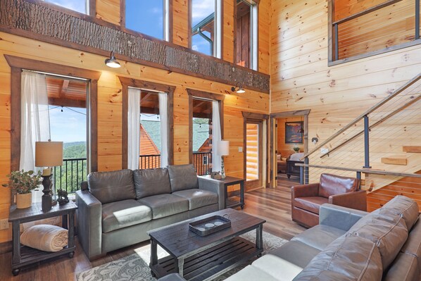 TV, fireplace, video games, DVD player