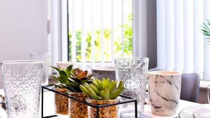 A table with clear glass vases, a marble mug, and succulent plants in a black holder.