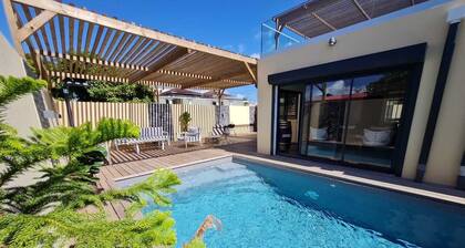 Villa Standing Heated Pool Jacuzzi 5 Bedrooms 12 Pers