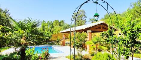Seasonal outdoor pool, pool umbrellas, pool loungers