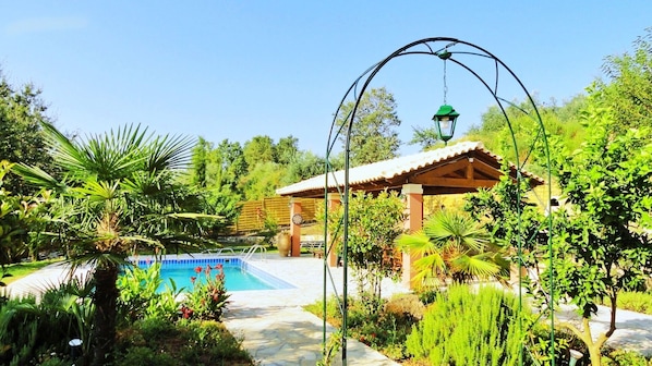 Seasonal outdoor pool, pool umbrellas, pool loungers