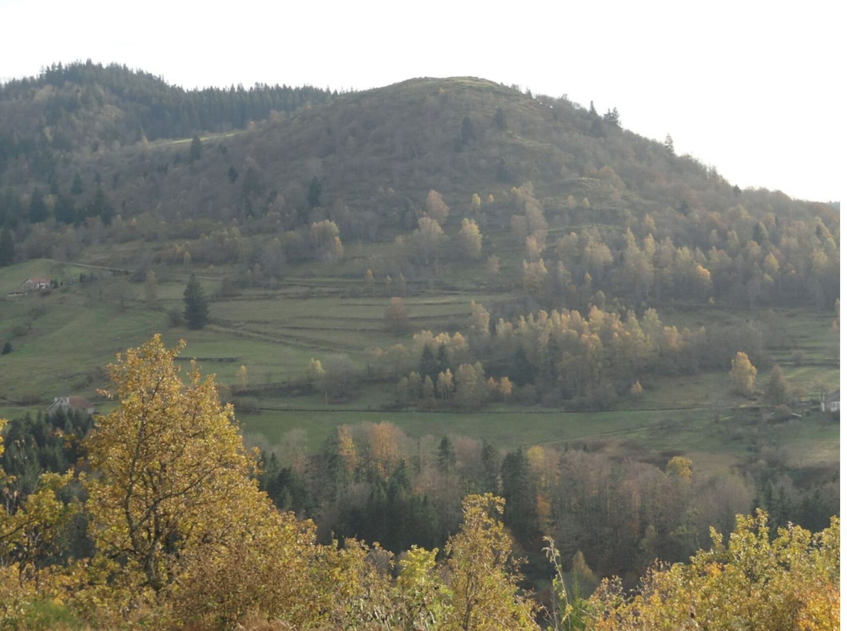 A hilly landscape with a forested area and open fields.