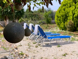 Property grounds - Stunning 3-bedroom Villa Near Malia Beach (Agios Nikolaos)