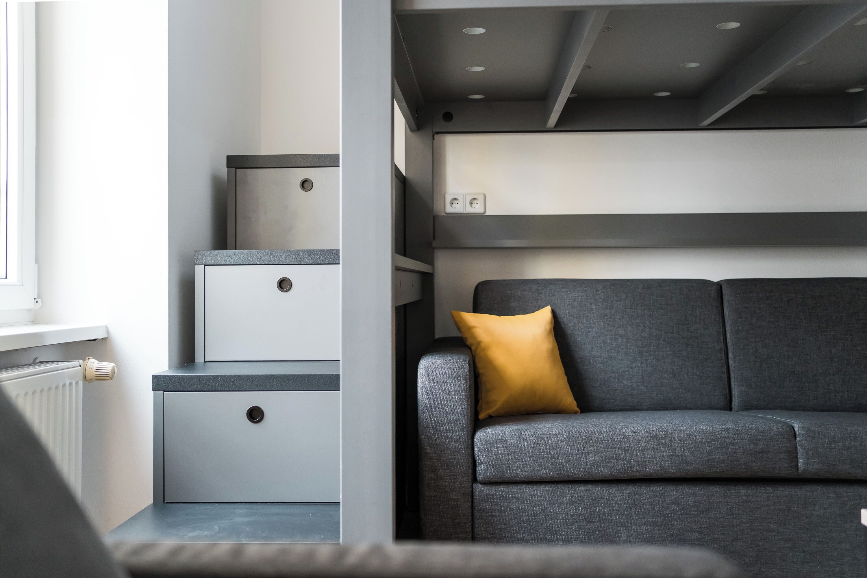 Photo - Homaris Boxi Studios