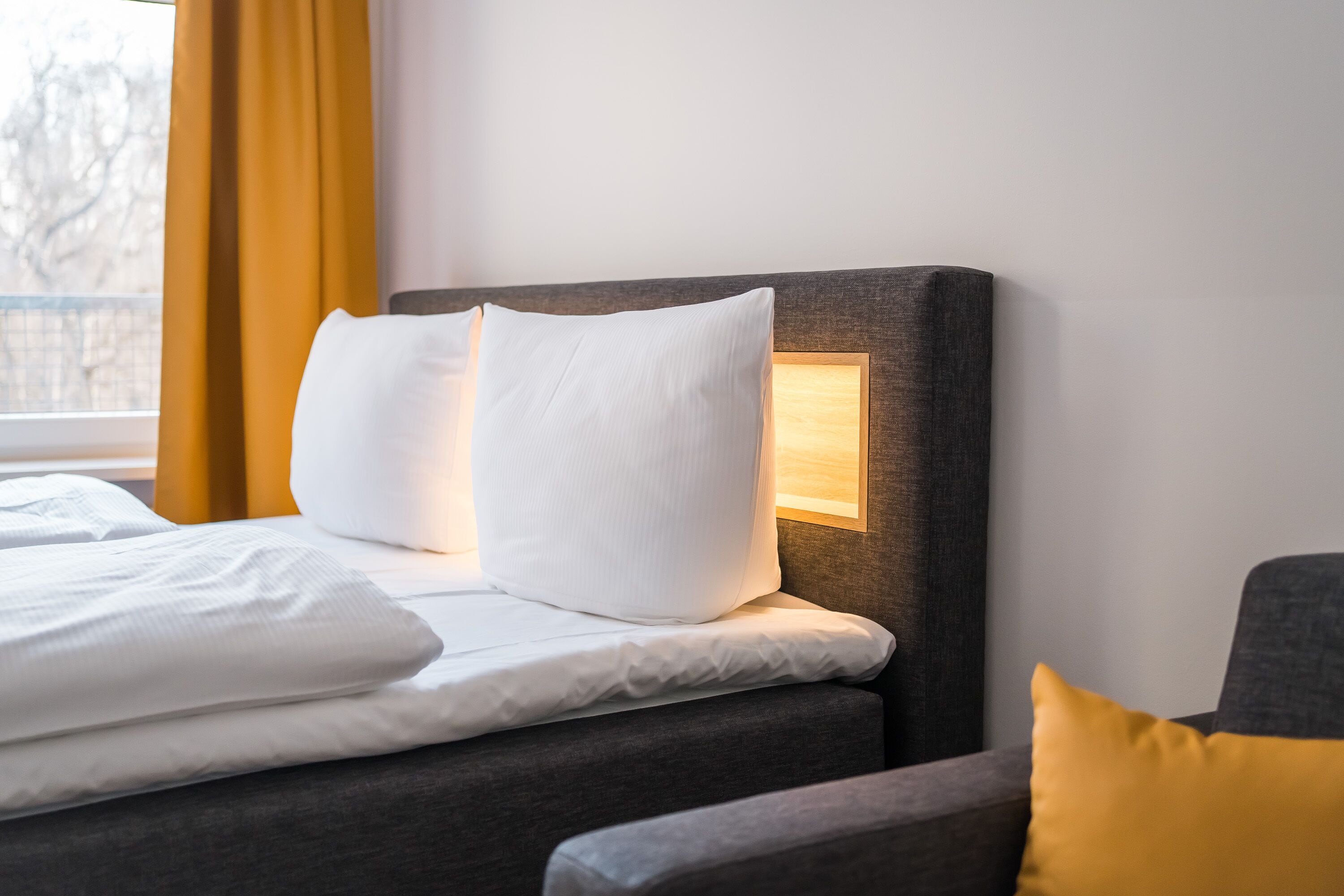 Photo - Homaris Boxi Studios