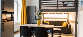 Homaris Boxi Studios