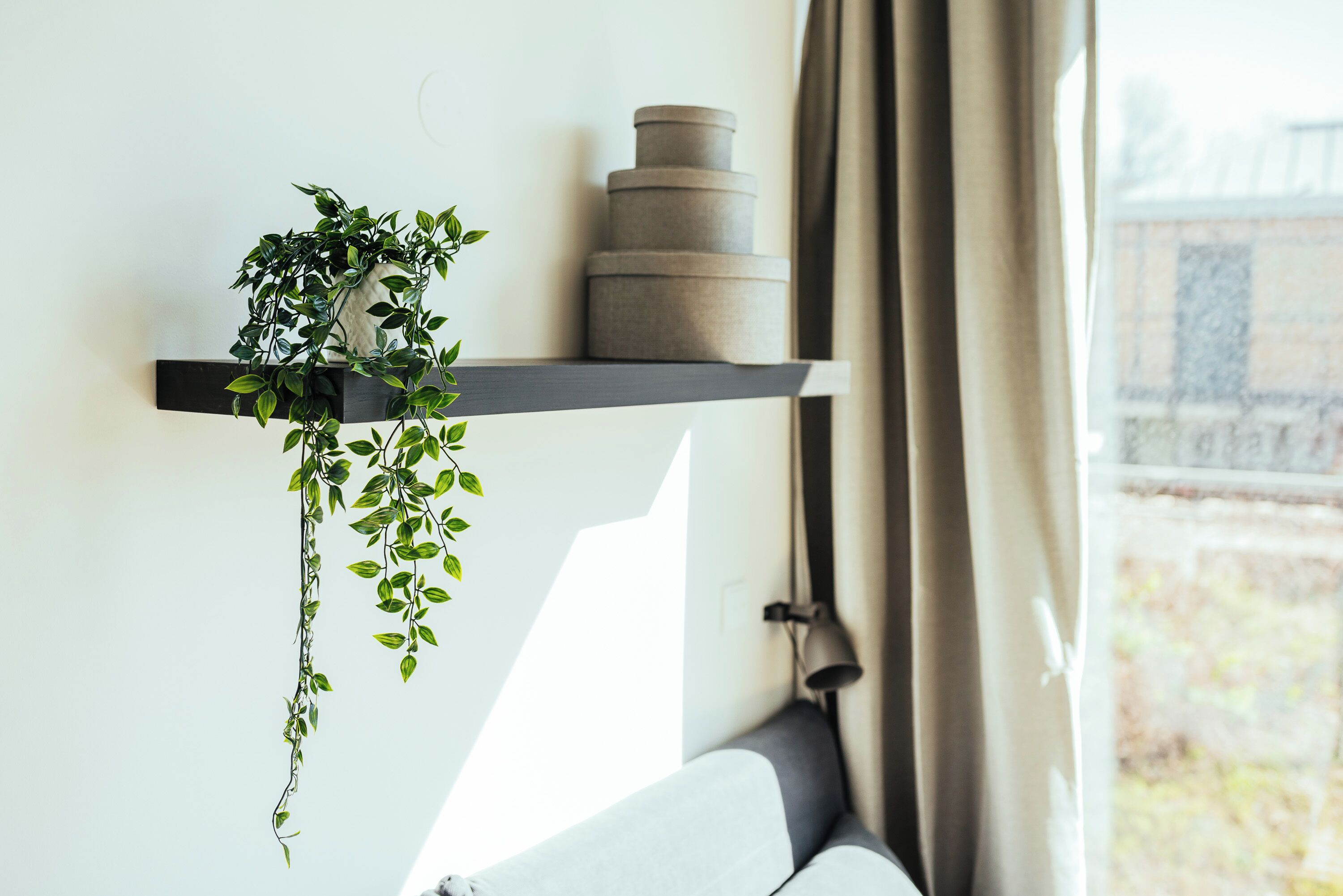 Une étagère avec une plante suspendue et des récipients empilés.
