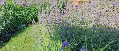 Área da propriedade