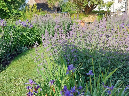 Unique suite full of character with own entrance