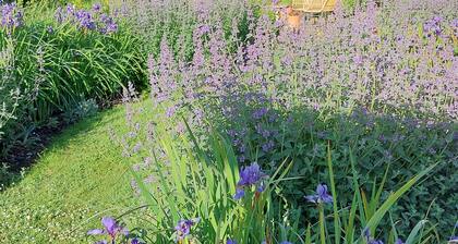 Unique suite full of character with own entrance