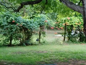 住宿场地