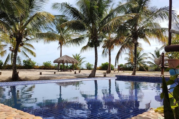 Outdoor pool, sun loungers