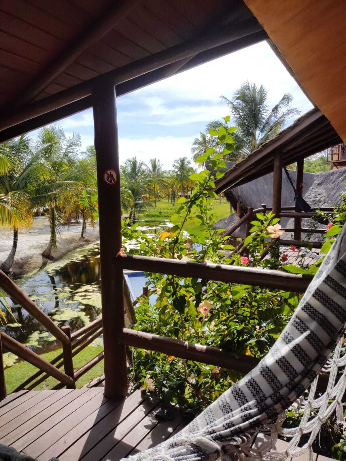 Phòng Tiêu chuẩn | Bộ đồ giường kháng dị ứng, trang trí khác biệt 