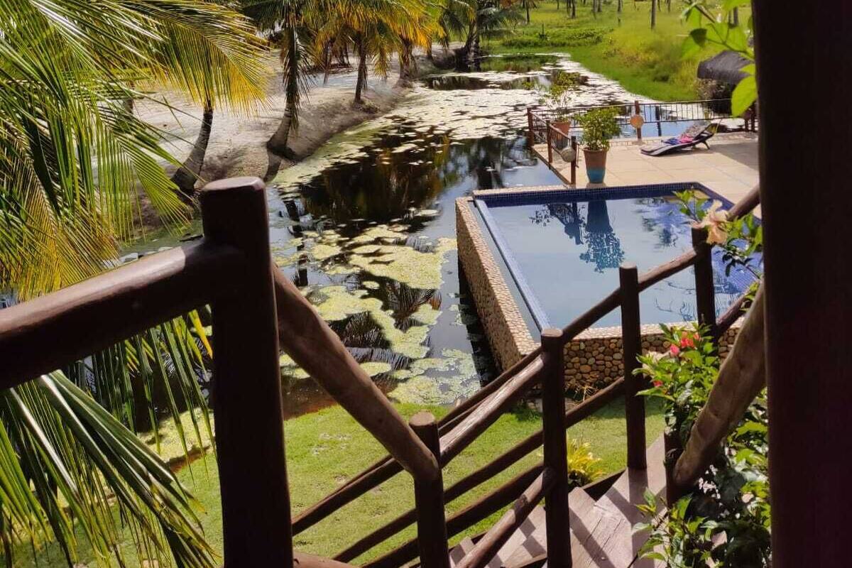 Näkymä uima-allasalueelle, jossa on vesiaihe, ja aluetta ympäröivät palmu- ja nurmialueet.