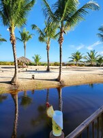 Escena de playa con palmeras y cielo despejado.