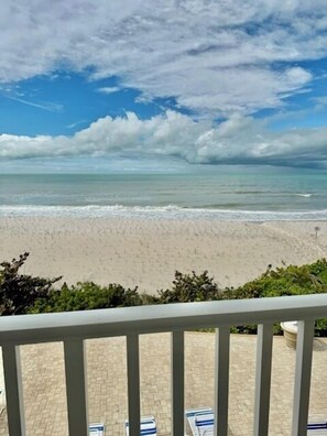 Property grounds - BBC211- Your Coastal Escape Starts Here! (Belleair Beach)
