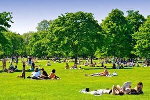 Guests can relax in the expansive park with lush green grass and numerous trees providing ample shade.