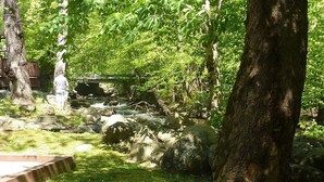 Um cenário natural ao ar livre com uma ponte de madeira, pedras e árvores.