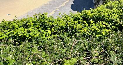 Charming Norman farmhouse 8 km from the sea