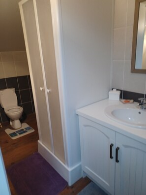 Shower, hair dryer, soap, shampoo - Pretty, fully-equipped stone farmhouse (Margueron)