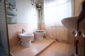 Shower, hair dryer, bidet, towels