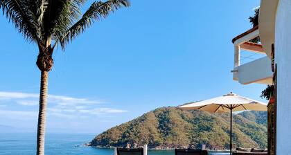 Breathtaking Ocean/Whale Views from Large Private Terrace Spacious Coastal Home