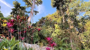 Un jardin où l’on trouve une variété de plantes et d’arbres, dont certains arborent des feuilles rouges et un feuillage vert luxuriant.