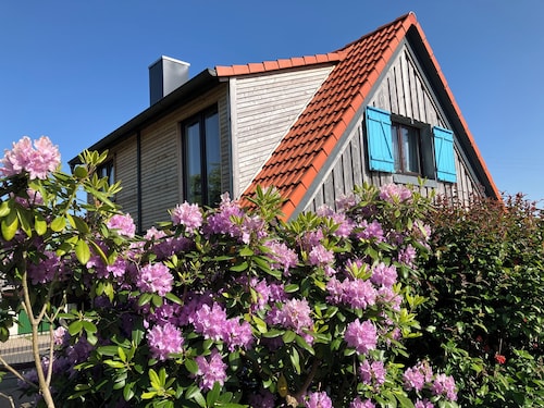 Quaint vacation home with ponies in the Rhön biosphere reserve 
