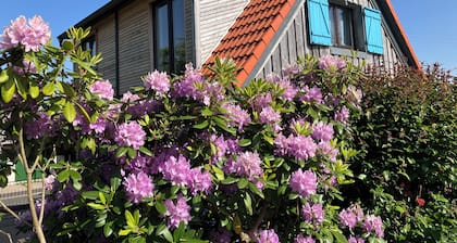 Quaint vacation home with ponies in the Rhön biosphere reserve 