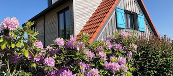 Quaint vacation home with ponies in the Rhön biosphere reserve 