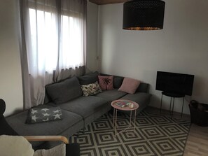 Smart TV, fireplace, books