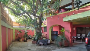 A courtyard with a tree, potted plants, and a parked car.