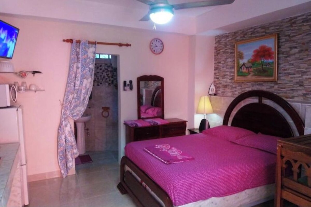 A bedroom with a bed, a television, a clock, a painting, and a ceiling fan.
